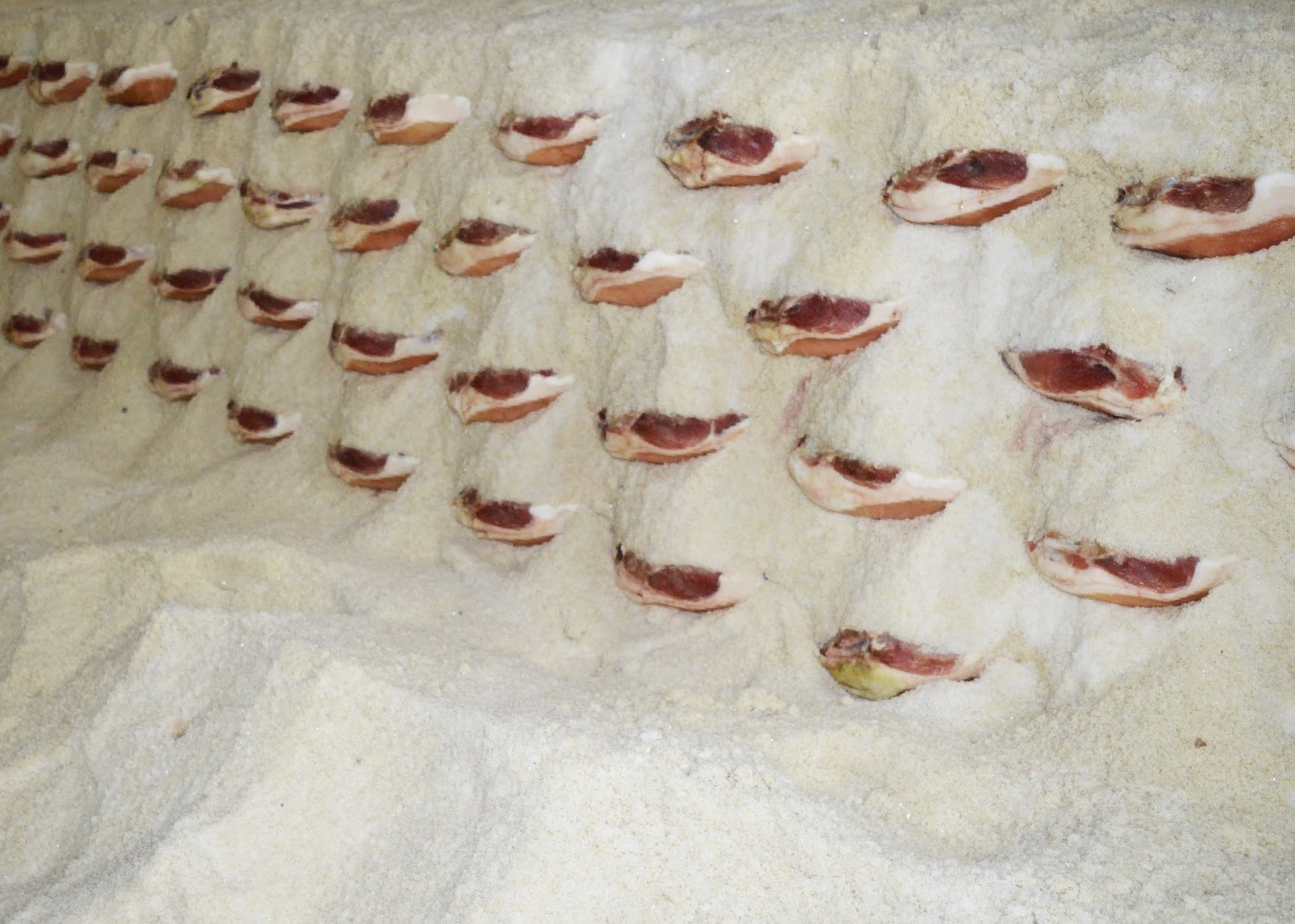 Pilas de salazón de jamones serrano en la fábrica de Embutidos Escámez.